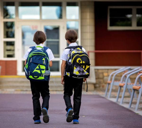 The Ultimate Back-to-School Survival Guide: Thriving in the Academic Jungle