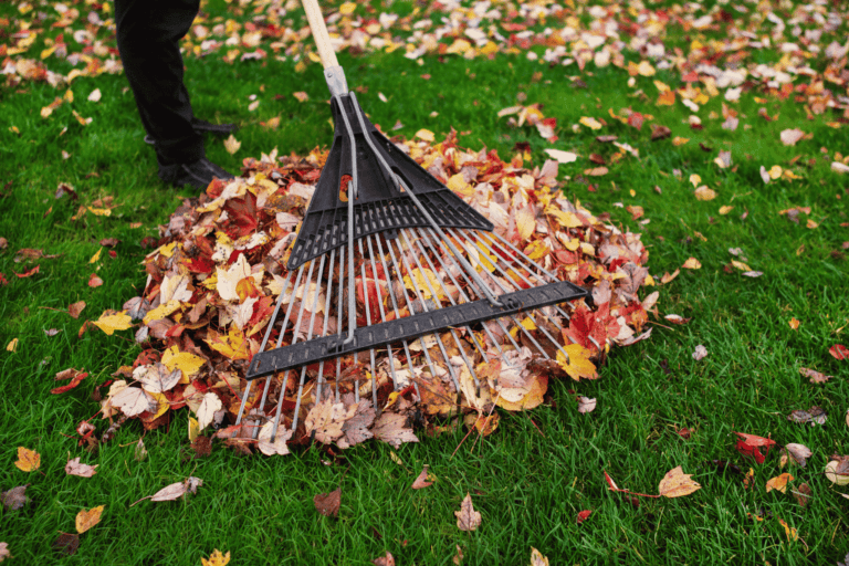 Fall Cleaning Tips: Refresh Your Home for the Season