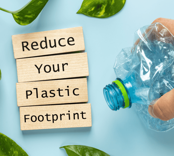 Reducing Plastic Use in Daily Life: Simple Steps for a Greener Tomorrow