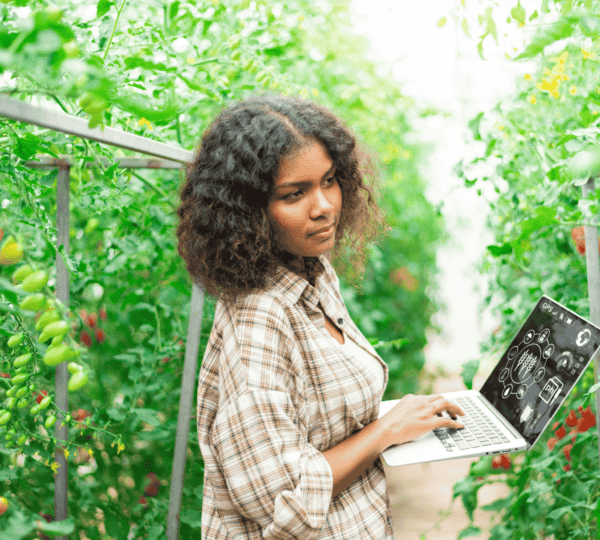 Sustainable Gardening and Urban Farming: How to Grow Your Own Food Responsibly