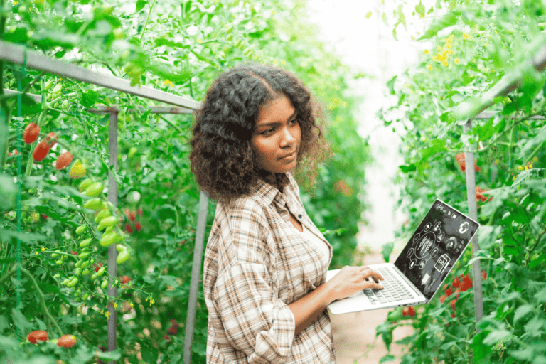 Sustainable Gardening and Urban Farming: How to Grow Your Own Food Responsibly