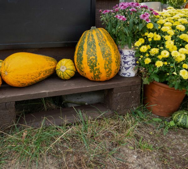 Produce In Season: Why It Matters for Your Health, Wallet, and the Planet