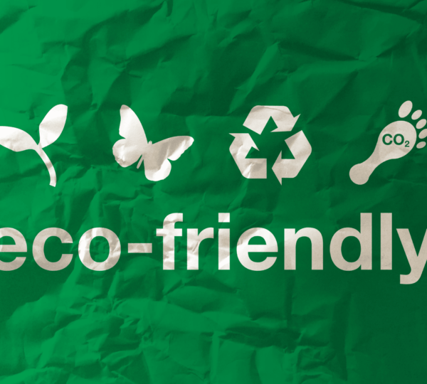 Eco-Friendly Christmas Tips: How to Have a Sustainable Holiday Season