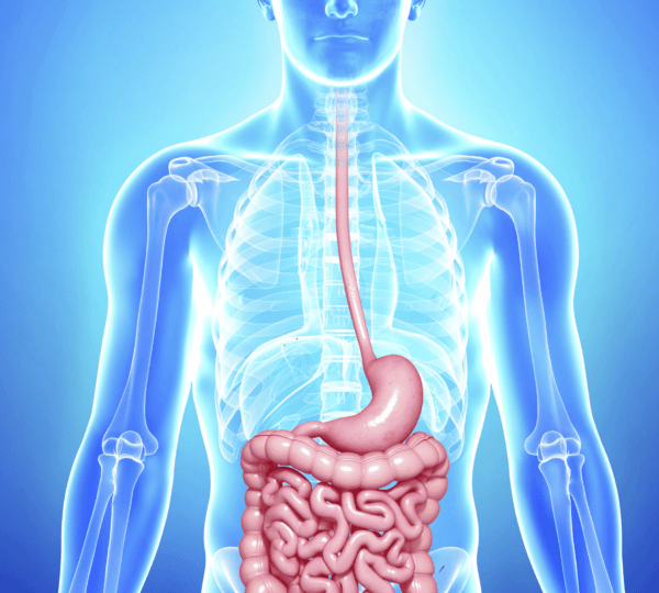 Using Mindful Eating to Improve Digestion