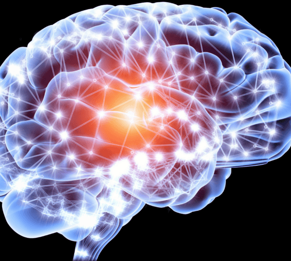 10 Science-Backed Reasons the MIND Diet Boosts Brain Health in 2025