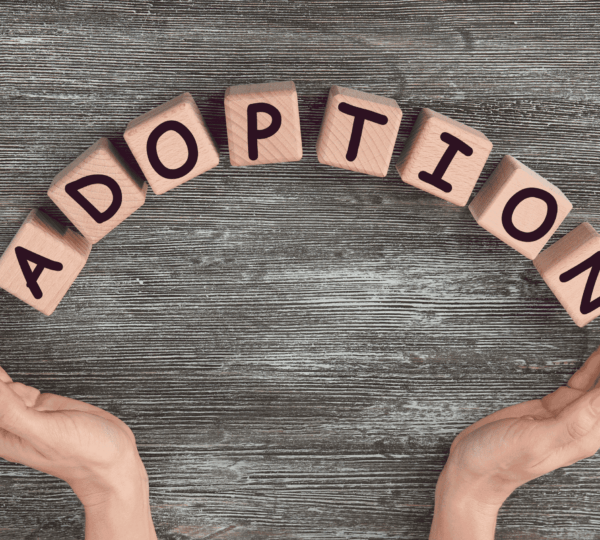 How to Support and Bond with Your Adopted Child