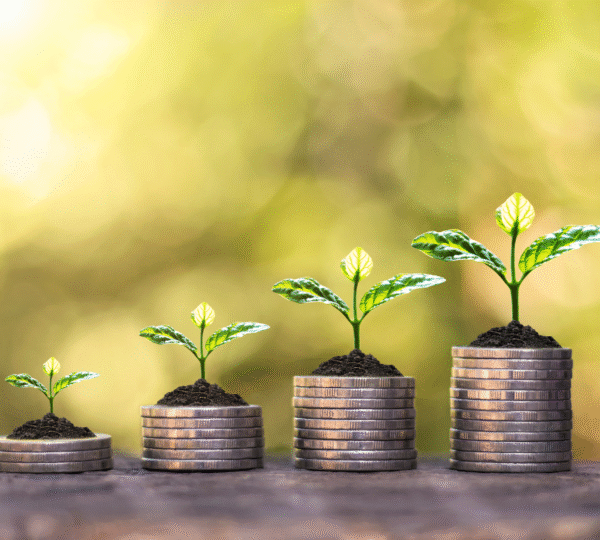 Green Investing for Beginners